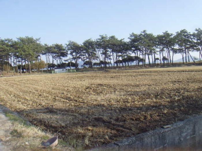 전라남도 해남군 북일면 원동길 38-8 주택 경매 사진 33