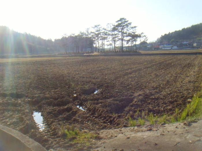 전라남도 해남군 북일면 원동길 38-8 주택 경매 사진 34
