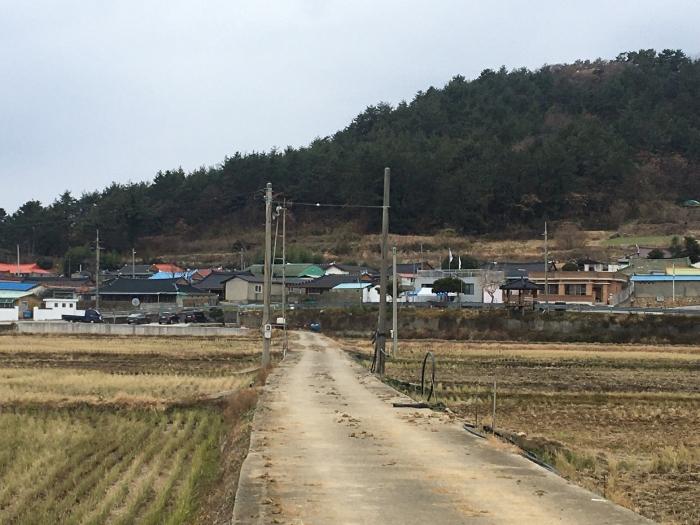 전라남도 해남군 북일면 내동리 974-1 답 경매 사진 14