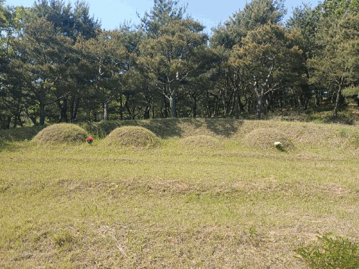 경상남도 사천시 곤명면 삼정리 산31 임야 경매 사진 1