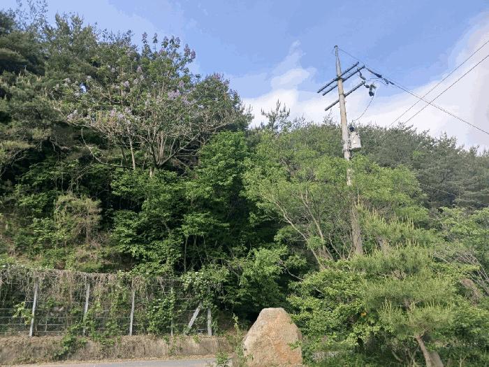 경상남도 사천시 곤명면 삼정리 산31 임야 경매 사진 13