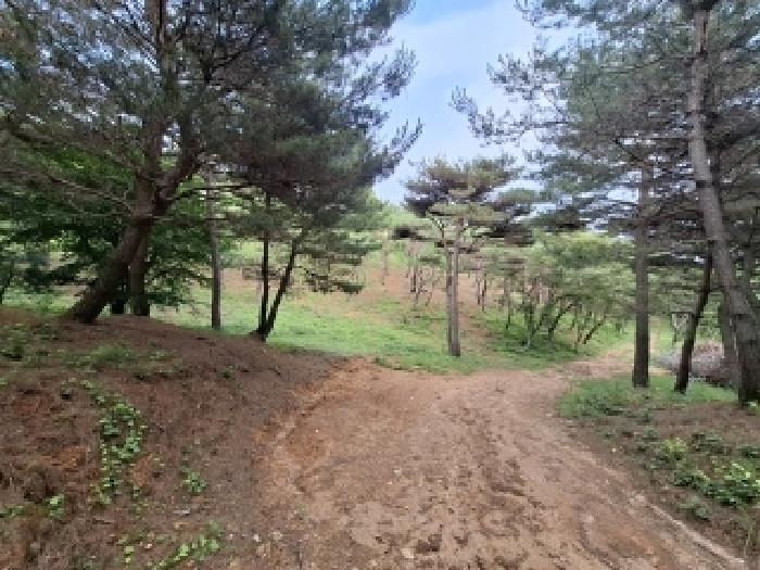 경상남도 사천시 곤명면 삼정리 산31 임야 경매 사진 19
