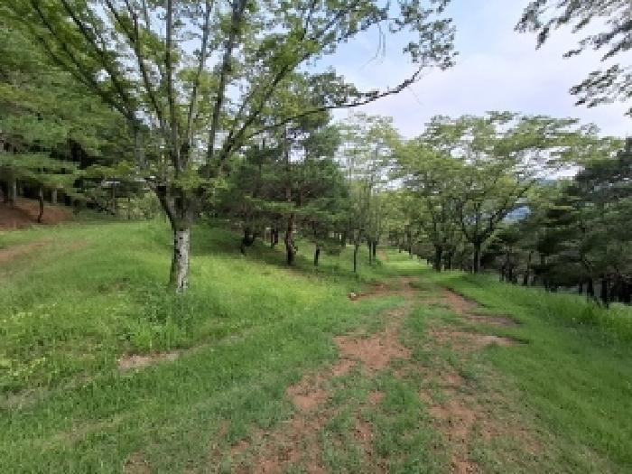 경상남도 사천시 곤명면 삼정리 산31 임야 경매 사진 22