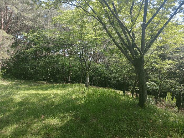 경상남도 사천시 곤명면 삼정리 산31 임야 경매 사진 6