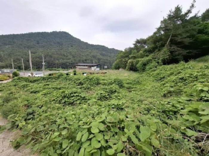 경상남도 남해군 남해읍 입현리 1040 전 경매 사진 10