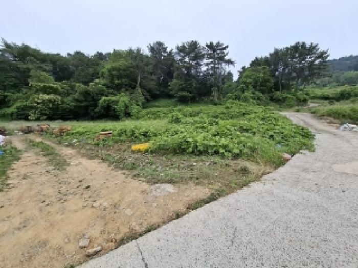 경상남도 남해군 남해읍 입현리 1040 전 경매 사진 11