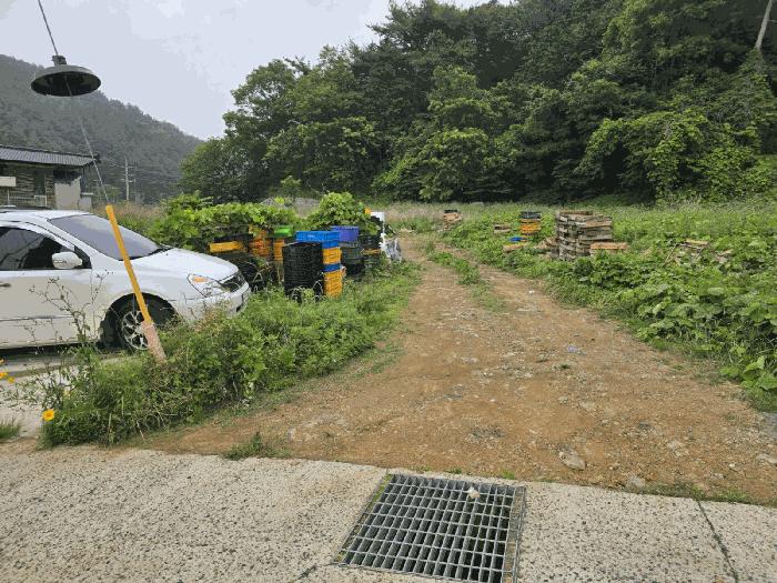 경상남도 남해군 남해읍 입현리 1040 전 경매 사진 4