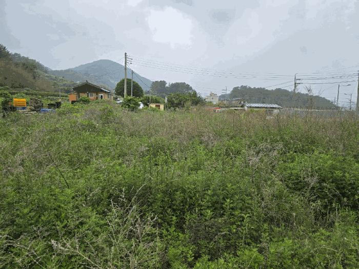 경상남도 남해군 남해읍 입현리 1040 전 경매 사진 5