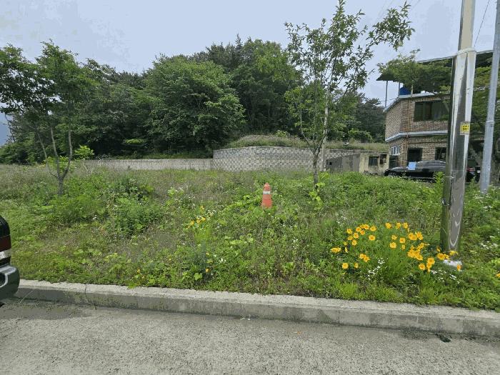 경상남도 남해군 남해읍 입현리 1040 전 경매 사진 6