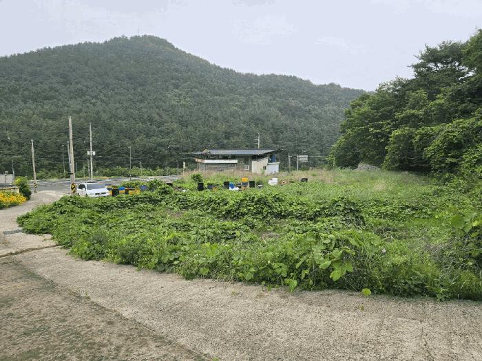 경상남도 남해군 남해읍 입현리 1040 전 경매 사진 7