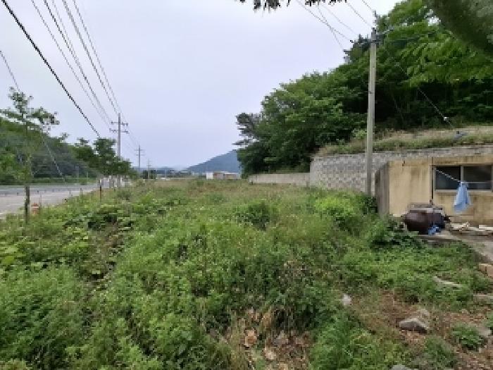 경상남도 남해군 남해읍 입현리 1040 전 경매 사진 9