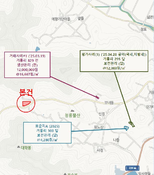 전라남도 진도군 의신면 거룡리 905-2 과수원 경매 사진 20