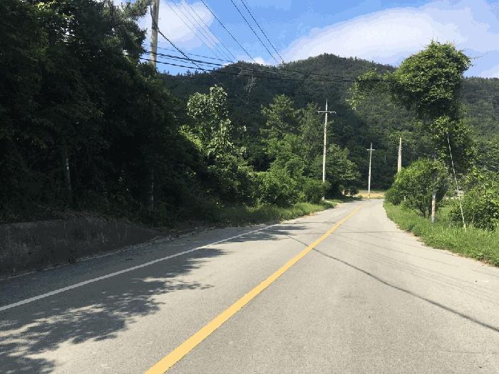 전라남도 진도군 의신면 거룡리 905-2 과수원 경매 사진 4
