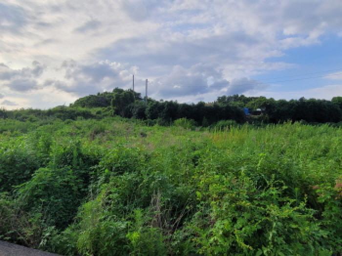 전라남도 여수시 돌산읍 우두리 405-20 전 경매 사진 12