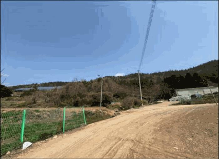 전라남도 진도군 임회면 명슬리 산75 임야 경매 사진 6