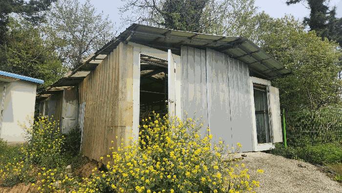 전라남도 해남군 산이면 대진리 757-11 임야 경매 사진 20