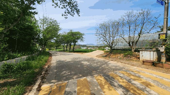 전라남도 해남군 산이면 대진리 757-11 임야 경매 사진 4