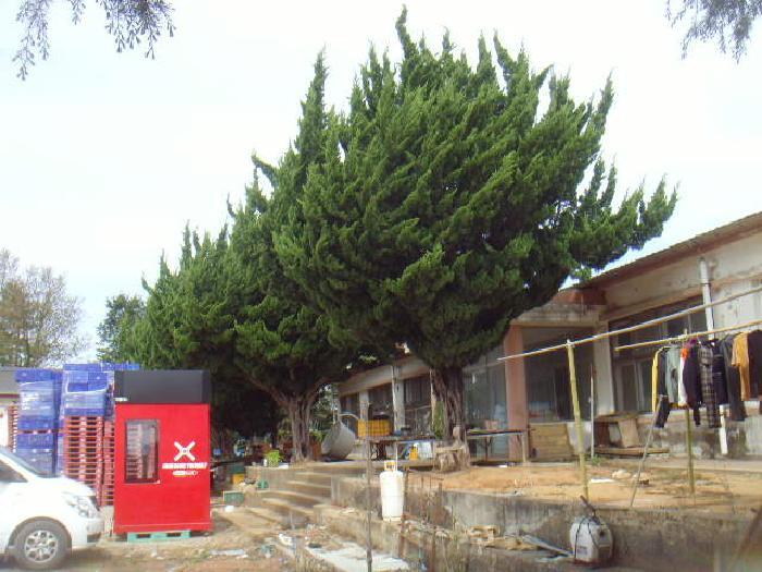 전라남도 해남군 산이면 대진리 757-11 임야 경매 사진 40