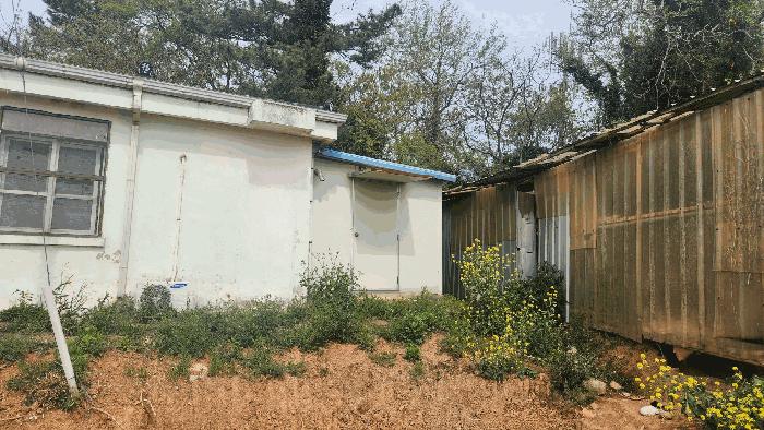 전라남도 해남군 산이면 부동리 290-1 공장 경매 사진 18
