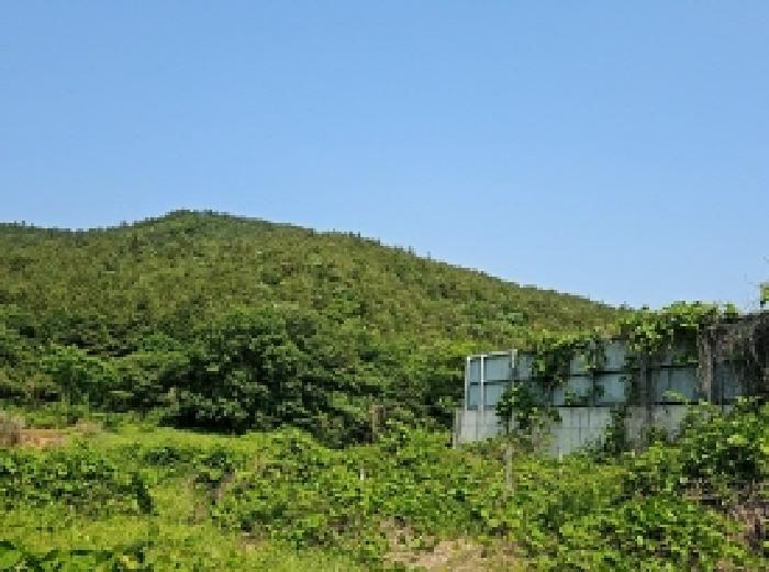 전라남도 해남군 마산면 상등리 산34 임야 경매 사진 9