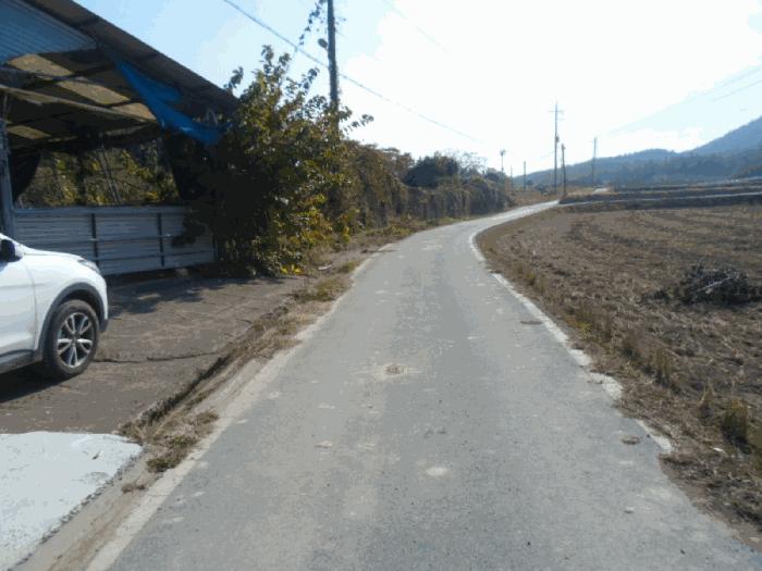 전라남도 해남군 황산면 일신리 산107-1 임야 경매 사진 8