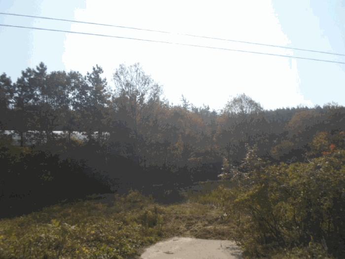 전라남도 해남군 문내면 석교리 산220 임야 경매 사진 11