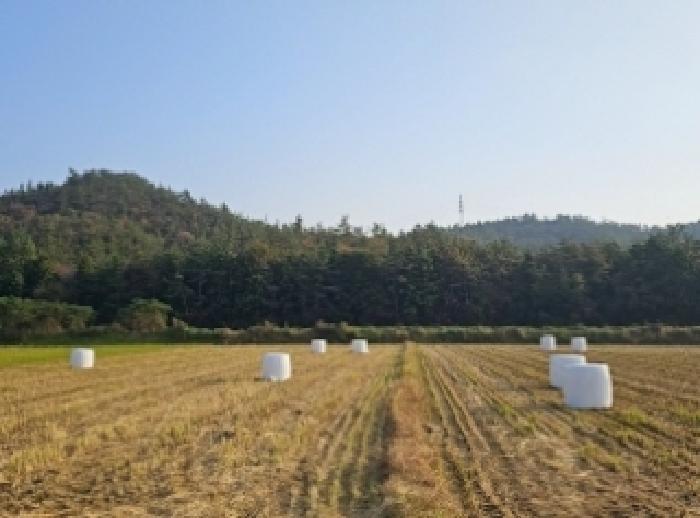 전라남도 해남군 문내면 석교리 산220 임야 경매 사진 21