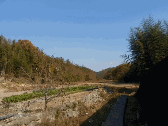 전라남도 해남군 문내면 석교리 산220 임야 경매 사진 4