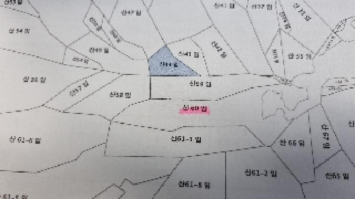 전북특별자치도 남원시 아영면 청계리 산60 임야 경매 사진 14