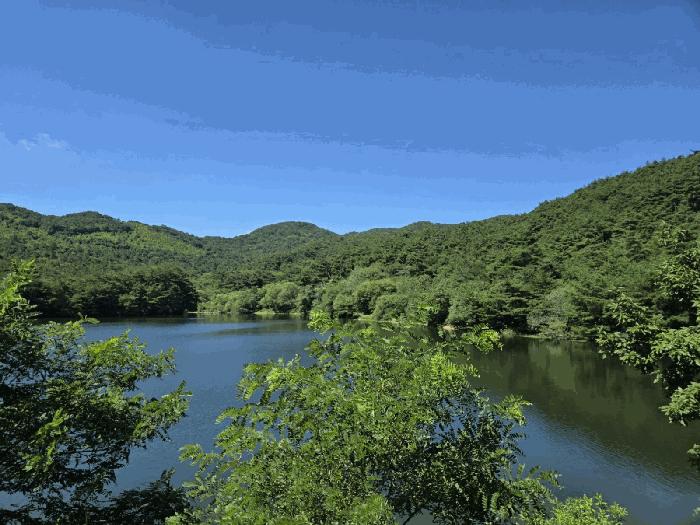 전북특별자치도 남원시 아영면 청계리 산60 임야 경매 사진 2
