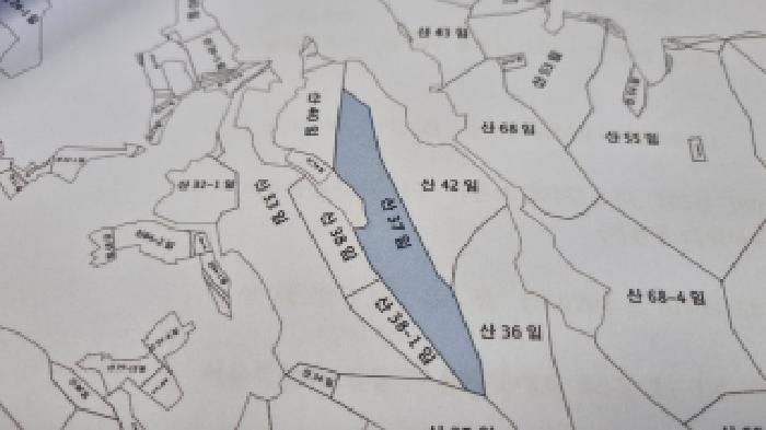 전북특별자치도 남원시 이백면 초촌리 산37 임야 경매 사진 10
