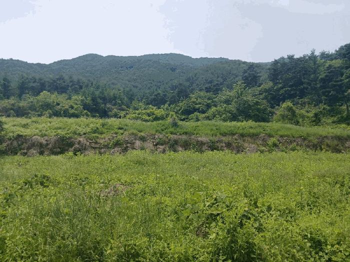경상남도 산청군 임야