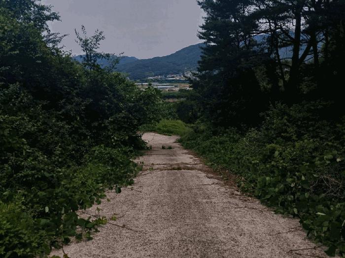 경상남도 산청군 산청읍 내리 산16-4 임야 경매 사진 4