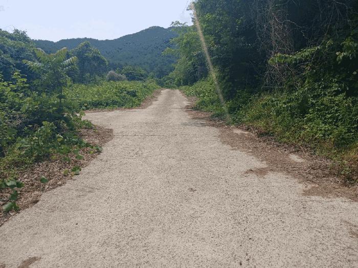 경상남도 산청군 산청읍 내리 산16-4 임야 경매 사진 5
