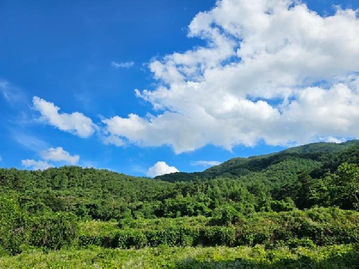 경상남도 산청군 산청읍 내리 산16-4 임야 경매 사진 7