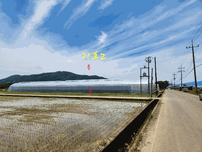 경상남도 사천시 노룡동 671-2 답 경매 사진 10
