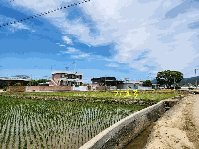 경상남도 사천시 노룡동 671-2 답 경매 사진 12