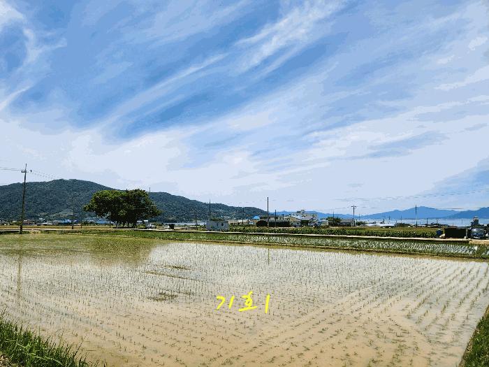 경상남도 사천시 노룡동 671-2 답 경매 사진 2