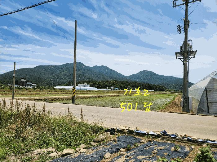 경상남도 사천시 노룡동 671-2 답 경매 사진 3