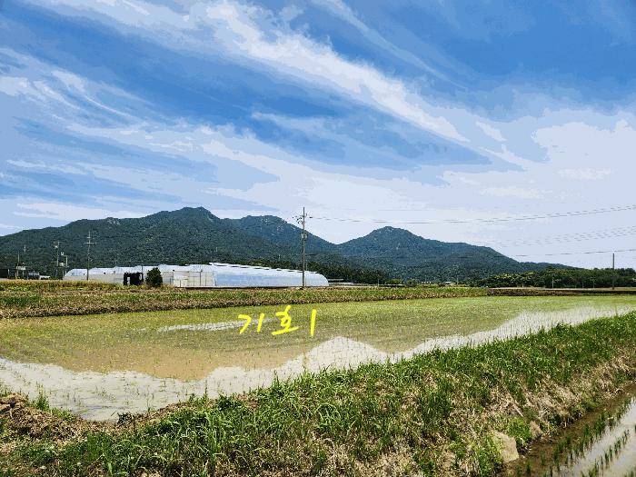 경상남도 사천시 노룡동 671-2 답 경매 사진 9