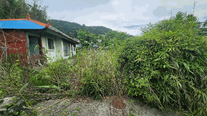 경상남도 남해군 남해읍 입현리 188-6 대지 경매 사진 2