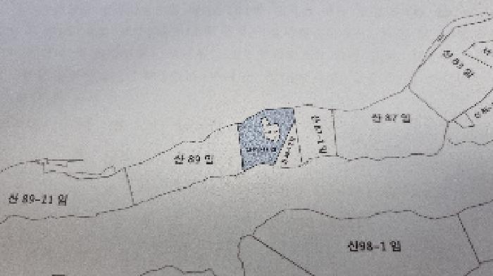 전북특별자치도 남원시 보절면 신파리 산89-12 임야 경매 사진 13