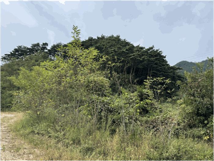 전북특별자치도 남원시 이백면 효기리 456-10 공장 경매 사진 12