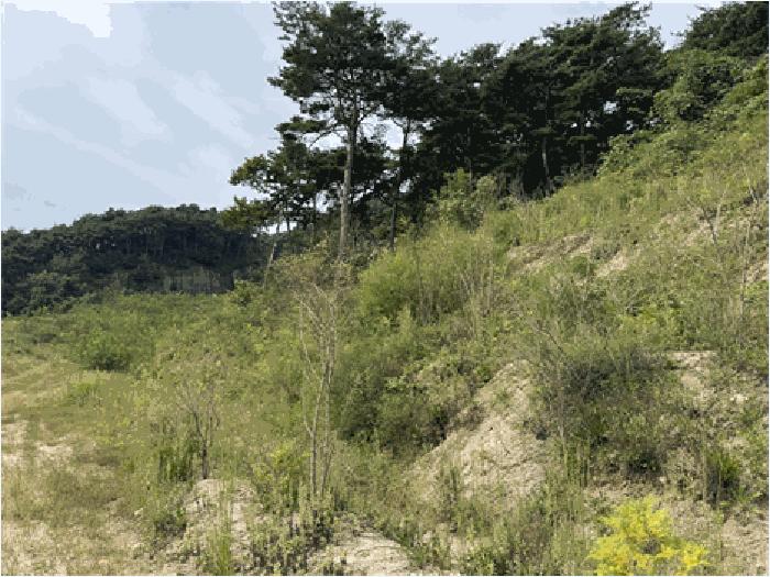 전북특별자치도 남원시 이백면 효기리 456-10 공장 경매 사진 2