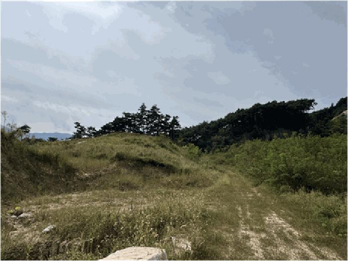 전북특별자치도 남원시 이백면 효기리 456-10 공장 경매 사진 3