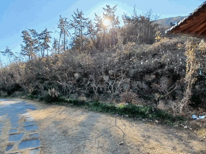 전라남도 여수시 돌산읍 평사리 1253-20 주택 경매 사진 21