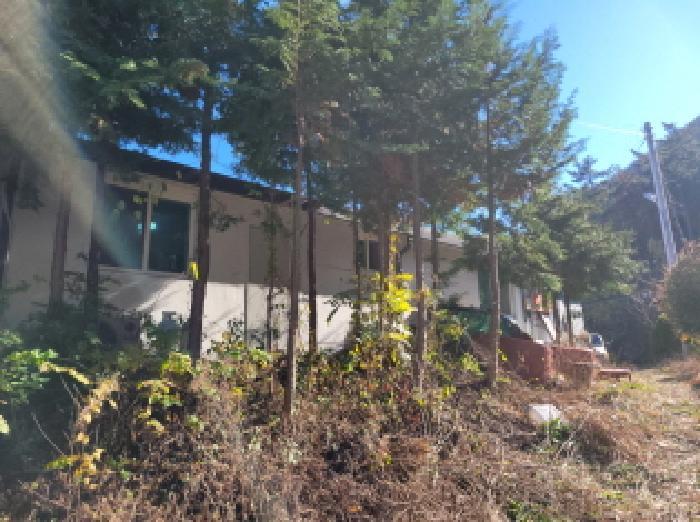 전라남도 여수시 돌산읍 평사리 1253-20 주택 경매 사진 45