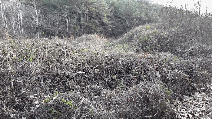 전라남도 고흥군 전