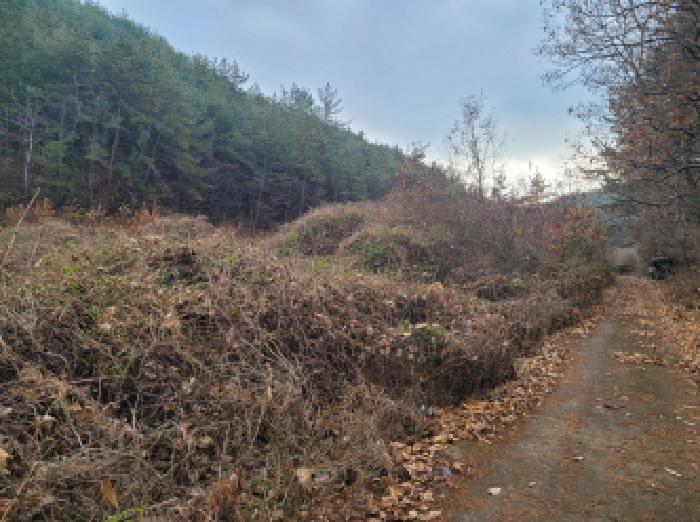전라남도 고흥군 두원면 운대리 856 전 경매 사진 11
