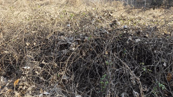 전라남도 고흥군 두원면 운대리 856 전 경매 사진 3